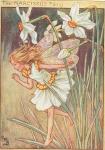 flower fairy